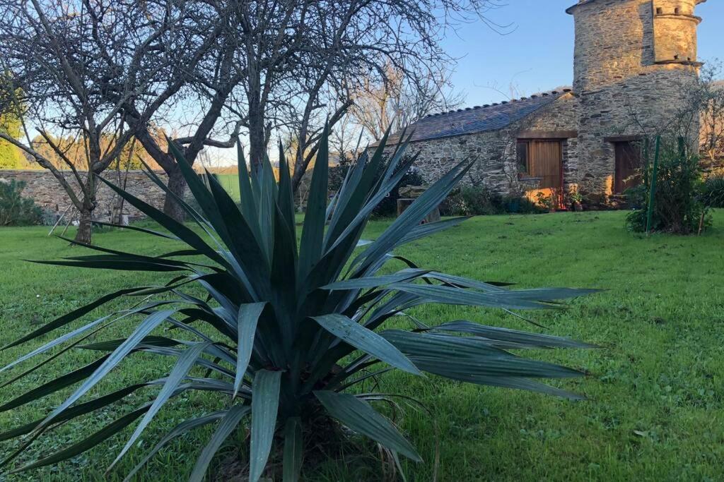 Apartamento Turistico Con Precioso Jardin - Los Gayoles Rural Кастрополь Экстерьер фото